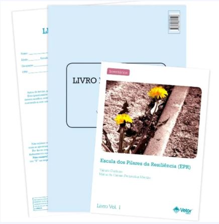 Cole&Atilde;&sect;&Atilde;&pound;o EPR - Escala dos Pilares da Resili&Atilde;&ordf;ncia